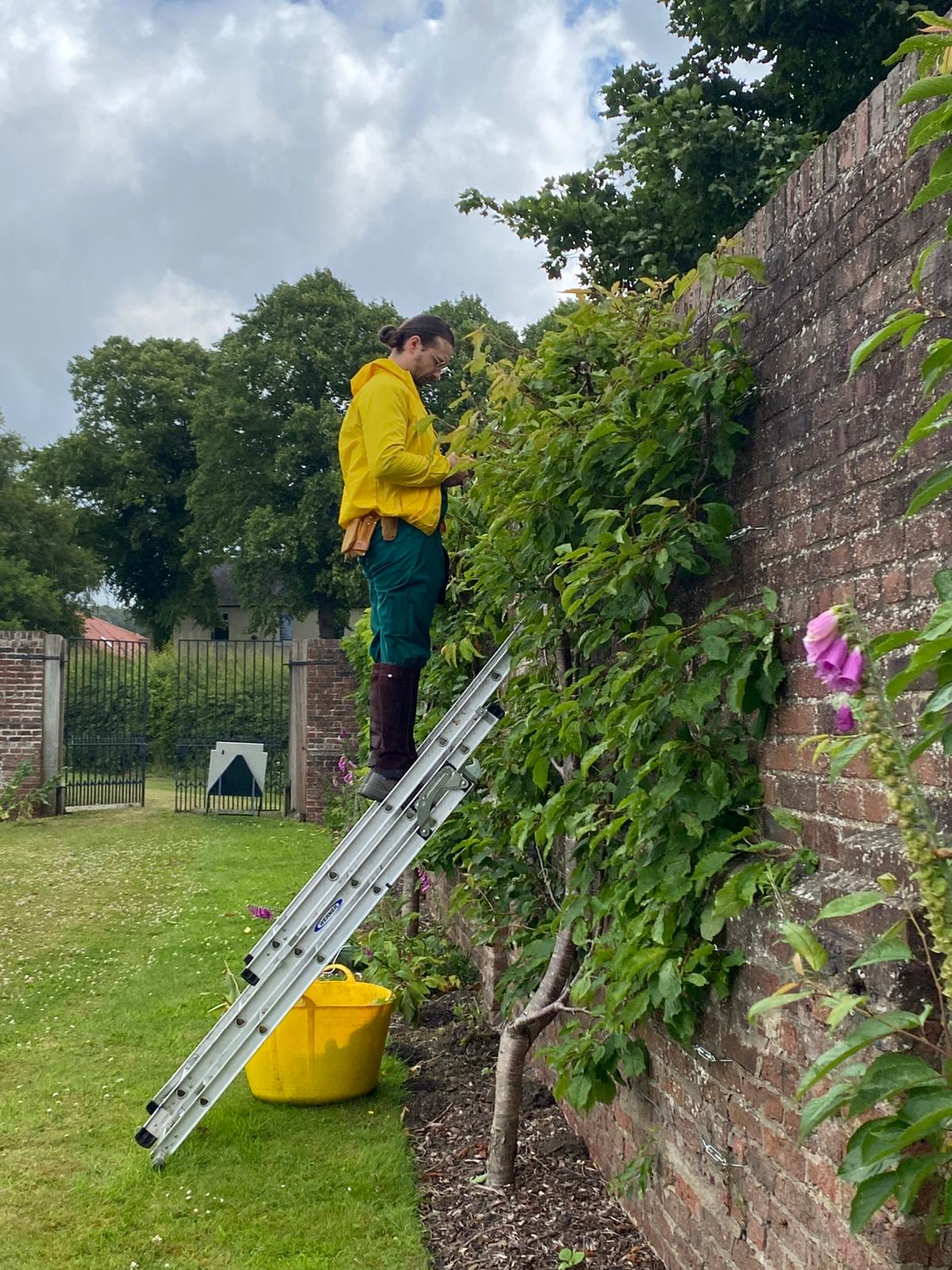 PHOTO-2025-06-26-21-16-44