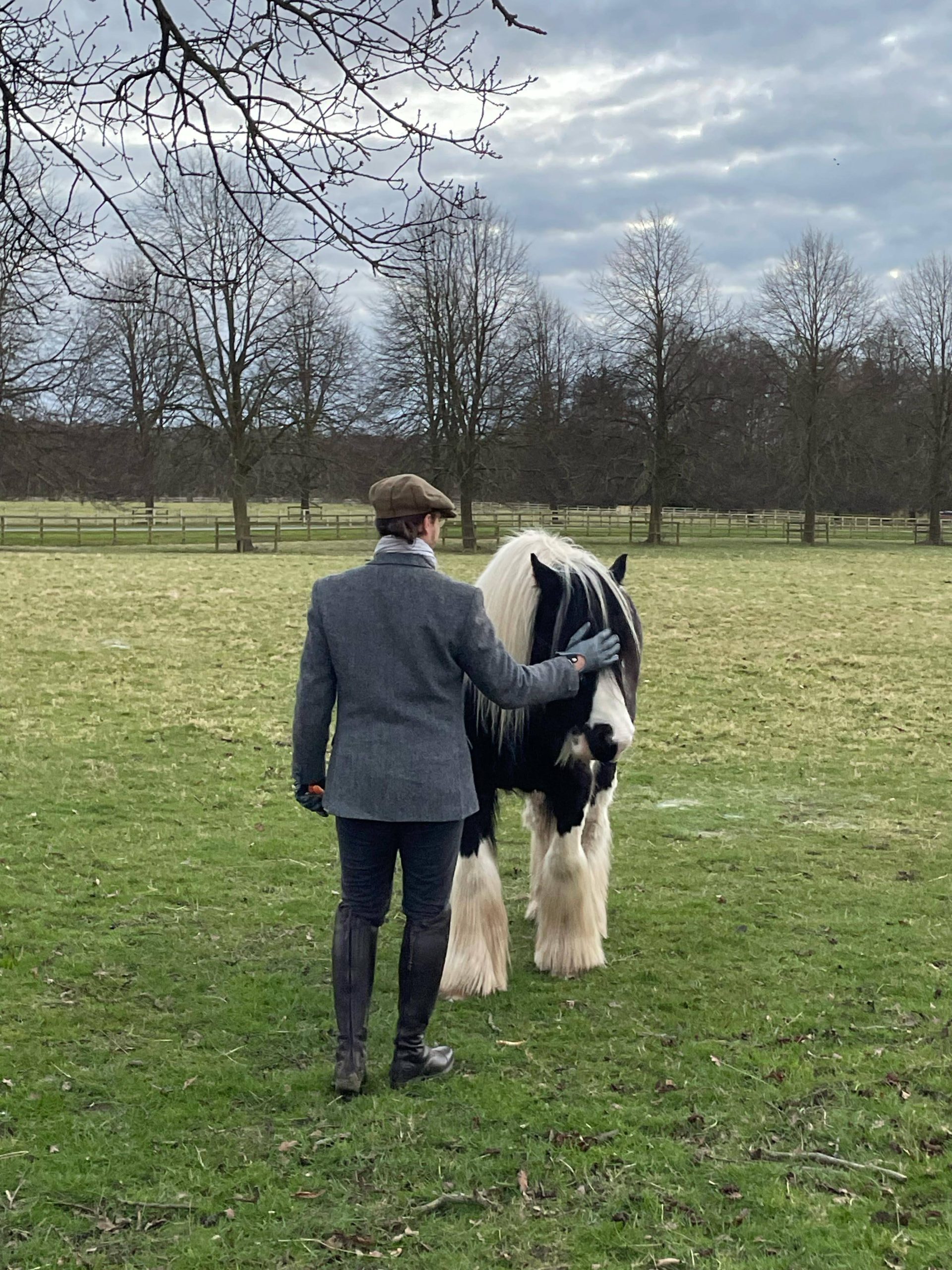 a6a04558-ba9a-4f21-ae5e-e6f4a628d6de